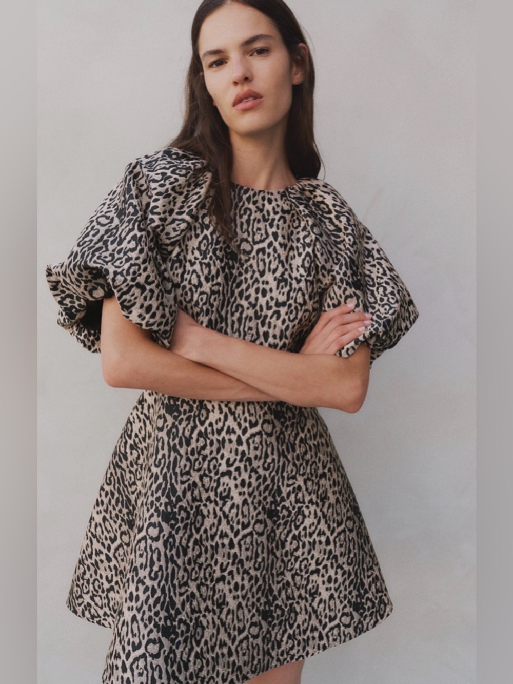 H&M Leopard-Print Puff-Sleeve Mini Dress in Beige and Black